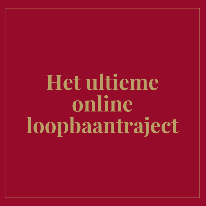 Het ultieme online loopbaantraject